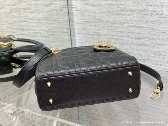 Tony Luxuries SmallCalfskin-20-16.5-8CM Lady diro 0805